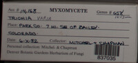 Image Associated With the Occurence